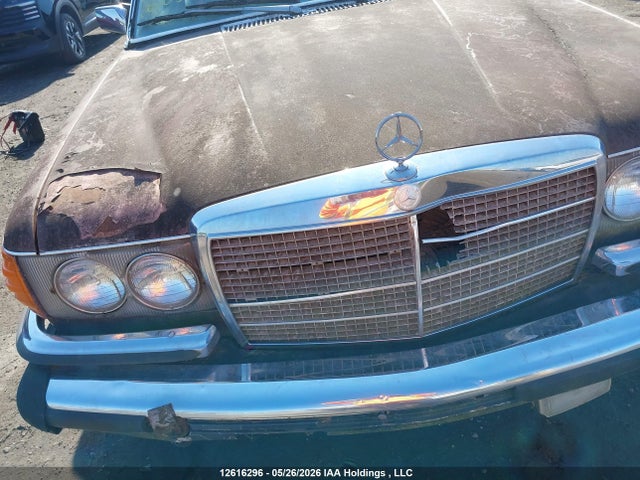 12616296 :رقم المزاد ، 12065181 vin ، 1977 Mercedes-benz  مزاد بيع