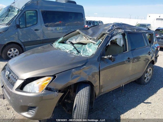 Продажа на аукционе авто 2011 Toyota Rav4, vin: 2T3BF4DV1BW141002, номер лота: 12616301