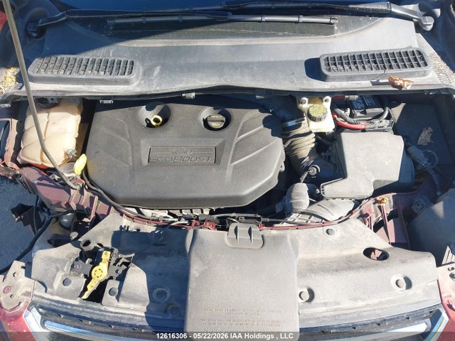 Продажа на аукционе авто 2014 Ford Escape, vin: 1FMCU0J96EUA95285, номер лота: 12616306