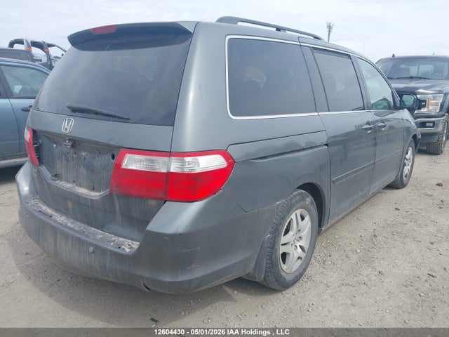 Продажа на аукционе авто 2007 Honda Odyssey Touring, vin: 5FNRL38837B511837, номер лота: 12604430