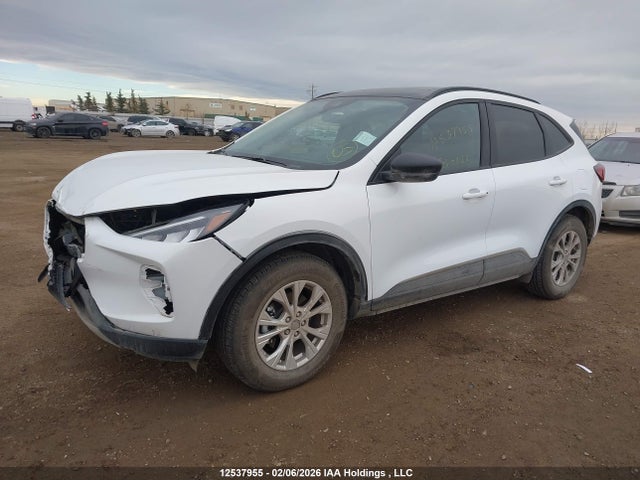 Продажа на аукционе авто 2025 Ford Escape Active, vin: 1FMCU9GN8SUA64933, номер лота: 12537955