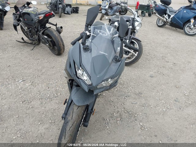 Kawasaki Ex650 P 2024 ML5EXEP14RDAC9612 Image 5
