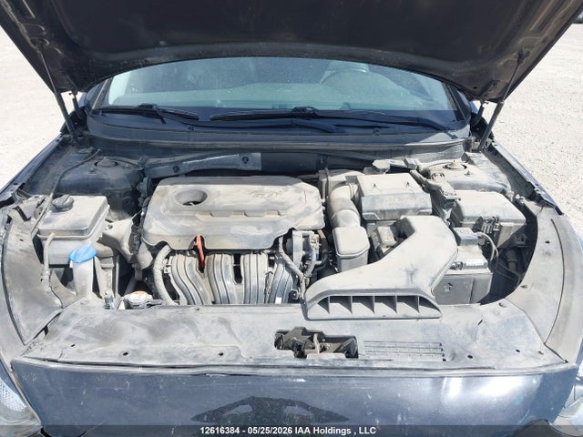 12616384 :رقم المزاد ، 5NPE34AF6KH812304 vin ، 2019 Hyundai Sonata Limited/sel/sport مزاد بيع