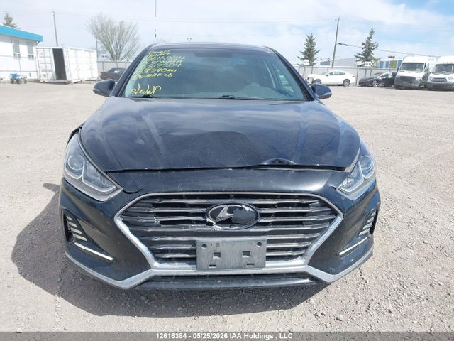 12616384 :رقم المزاد ، 5NPE34AF6KH812304 vin ، 2019 Hyundai Sonata Limited/sel/sport مزاد بيع