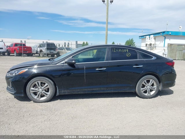 12616384 :رقم المزاد ، 5NPE34AF6KH812304 vin ، 2019 Hyundai Sonata Limited/sel/sport مزاد بيع