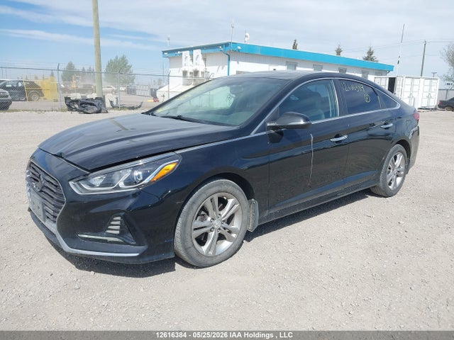 12616384 :رقم المزاد ، 5NPE34AF6KH812304 vin ، 2019 Hyundai Sonata Limited/sel/sport مزاد بيع