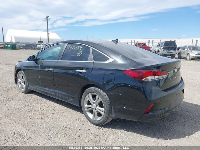 12616384 :رقم المزاد ، 5NPE34AF6KH812304 vin ، 2019 Hyundai Sonata Limited/sel/sport مزاد بيع