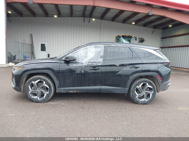 KM8JCCA11PU130968 Hyundai Tucson Ultimate Hybrid Awd