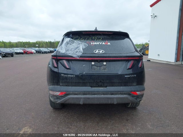 KM8JCCA11PU130968 Hyundai Tucson Ultimate Hybrid Awd