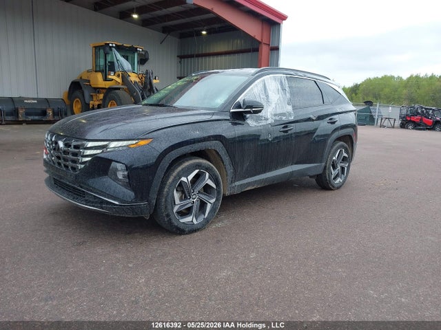 KM8JCCA11PU130968 Hyundai Tucson Ultimate Hybrid Awd