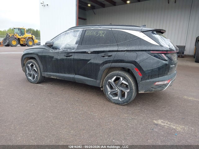KM8JCCA11PU130968 Hyundai Tucson Ultimate Hybrid Awd