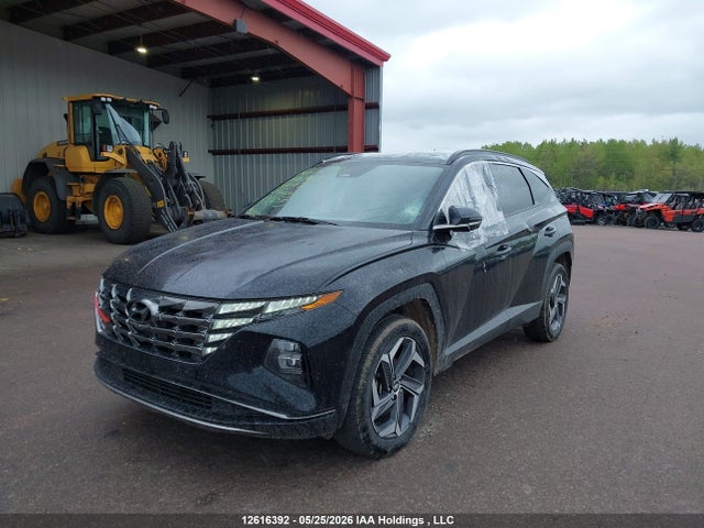 KM8JCCA11PU130968 Hyundai Tucson Ultimate Hybrid Awd