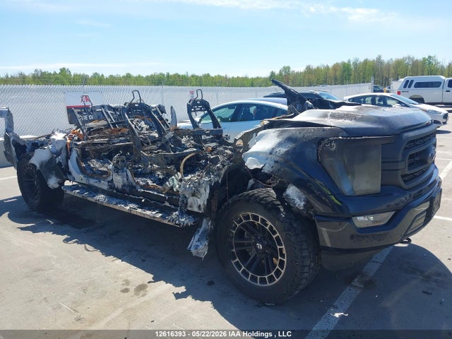 Ford F-150 Xlt 2023 1FTFW1E81PKF68057 Image 12