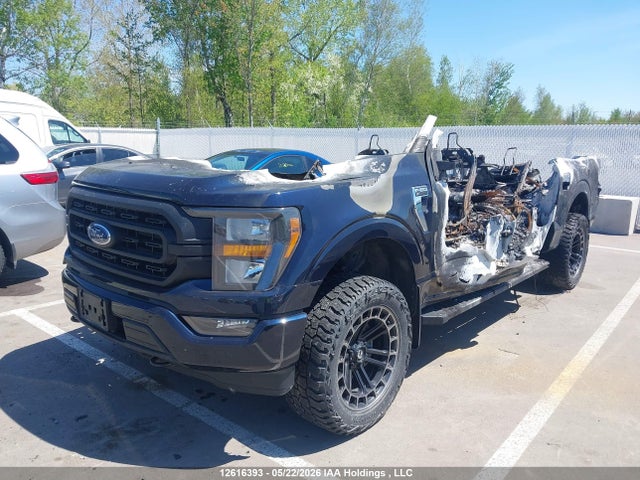 Ford F-150 Xlt 2023 1FTFW1E81PKF68057 Image 2