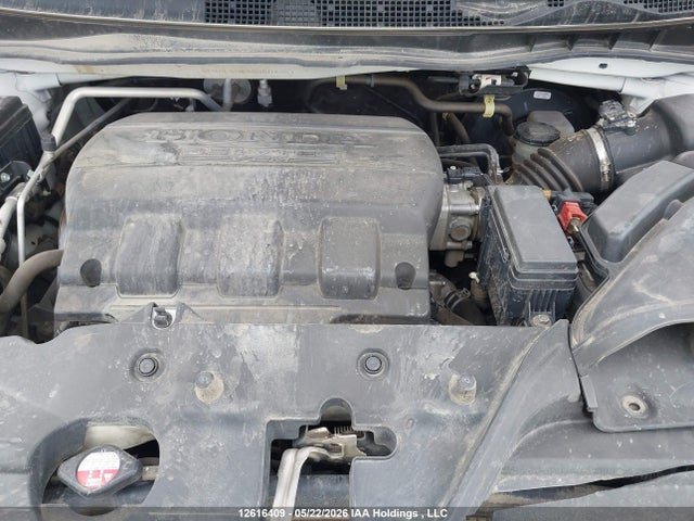 5FNRL5H63GB504381 Honda ODYSSEY EXL