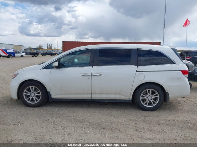 5FNRL5H63GB504381 Honda ODYSSEY EXL