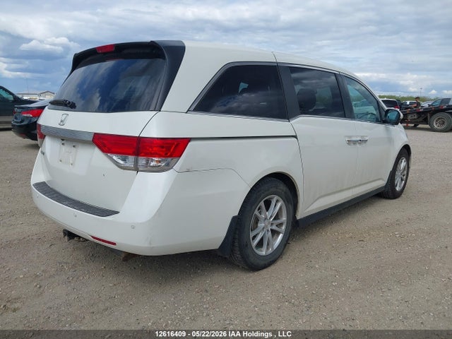 5FNRL5H63GB504381 Honda ODYSSEY EXL