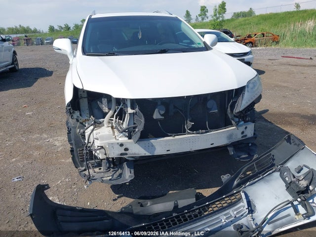 2014 Lexus Rx 350 მანქანა იყიდება აუქციონზე, vin: 2T2BK1BA9EC246021, აუქციონის ნომერი: 12616413
