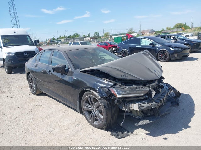 Продаж на аукціоні авто 2022 Acura Tlx A-spec, vin: 19UUB6F52NA800173, номер лоту: 12616422