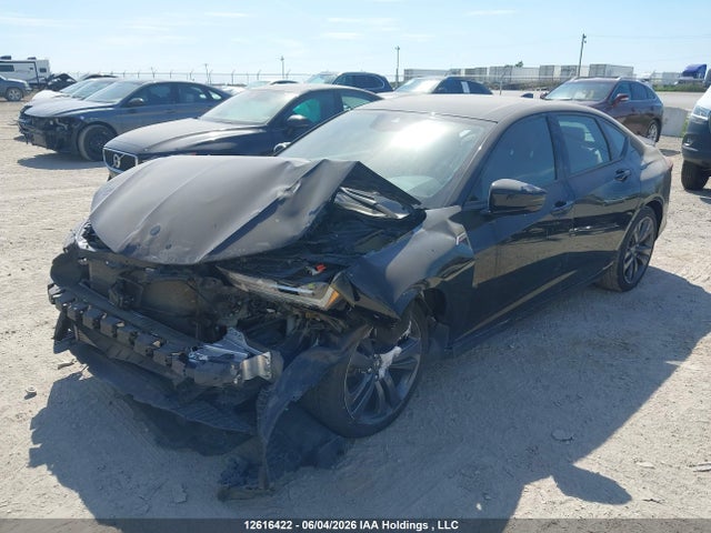 Продаж на аукціоні авто 2022 Acura Tlx A-spec, vin: 19UUB6F52NA800173, номер лоту: 12616422