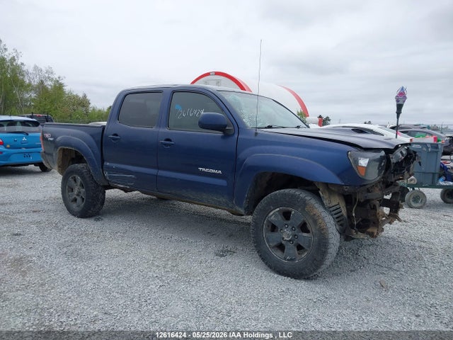 12616424 :رقم المزاد ، 5TELU42N96Z259466 vin ، 2006 Toyota Tacoma Double Cab مزاد بيع