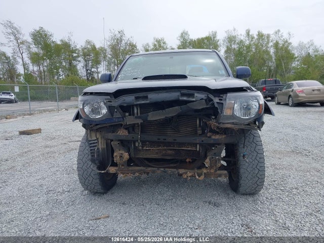 12616424 :رقم المزاد ، 5TELU42N96Z259466 vin ، 2006 Toyota Tacoma Double Cab مزاد بيع