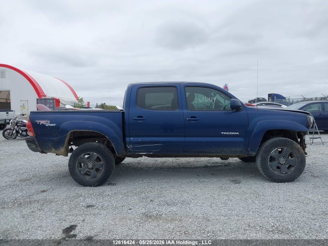 12616424 :رقم المزاد ، 5TELU42N96Z259466 vin ، 2006 Toyota Tacoma Double Cab مزاد بيع