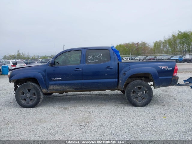 12616424 :رقم المزاد ، 5TELU42N96Z259466 vin ، 2006 Toyota Tacoma Double Cab مزاد بيع
