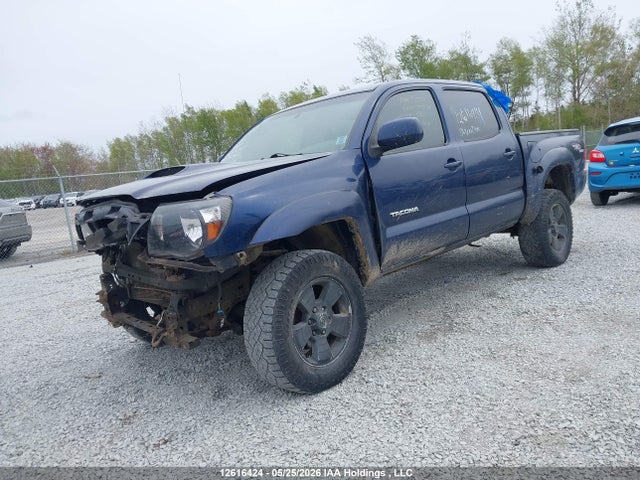 12616424 :رقم المزاد ، 5TELU42N96Z259466 vin ، 2006 Toyota Tacoma Double Cab مزاد بيع