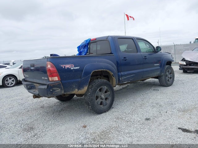 12616424 :رقم المزاد ، 5TELU42N96Z259466 vin ، 2006 Toyota Tacoma Double Cab مزاد بيع