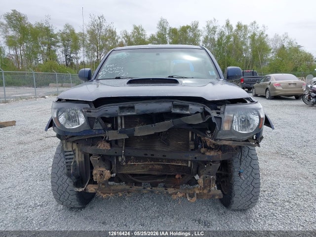 12616424 :رقم المزاد ، 5TELU42N96Z259466 vin ، 2006 Toyota Tacoma Double Cab مزاد بيع