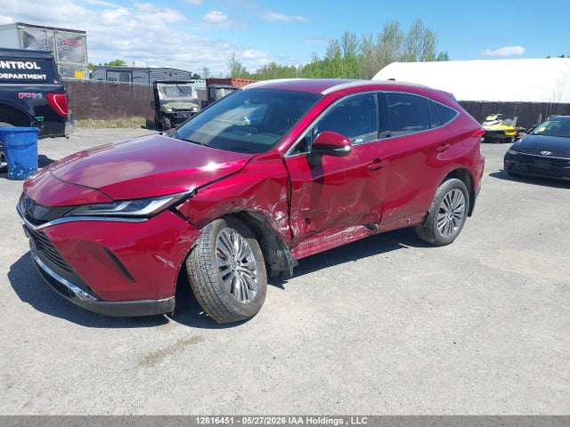 Aukcja sprzedaży 2024 Toyota Venza Xle, vin: JTEAAAAH6RJ181099, numer aukcji: 12616451
