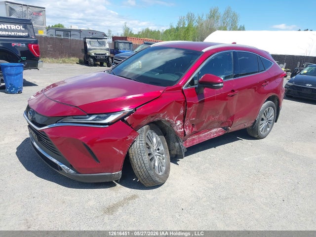 Aukcja sprzedaży 2024 Toyota Venza Xle, vin: JTEAAAAH6RJ181099, numer aukcji: 12616451