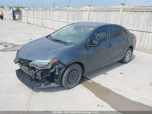 Продаж на аукціоні авто 2017 Toyota Corolla Le, vin: 2T1BURHE1HC892391, номер лоту: 12616454