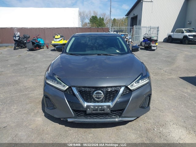 Продажа на аукционе авто 2019 Nissan Maxima Platinum/sl/sr, vin: 1N4AA6AV7KC376829, номер лота: 12616466