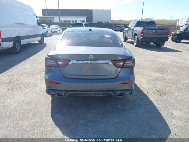 Продажа на аукционе авто 2019 Nissan Maxima Platinum/sl/sr, vin: 1N4AA6AV7KC376829, номер лота: 12616466