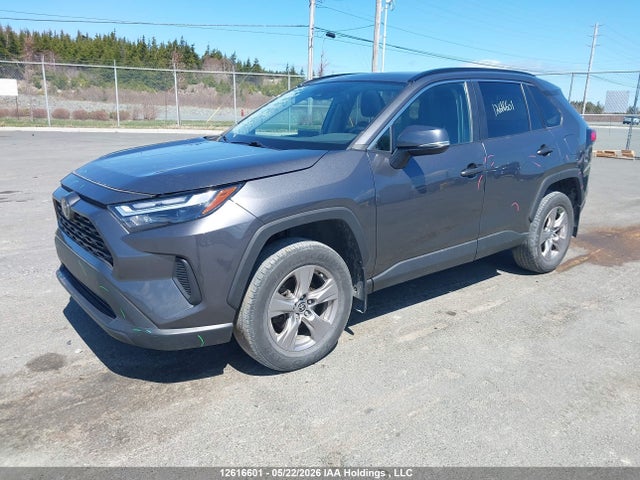 2T3R1RFV0NC297836 Toyota Rav4 Xle