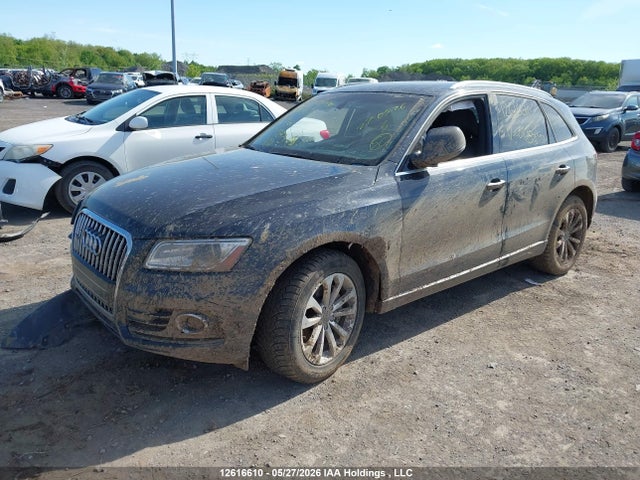 WA1L2AFP1GA013873 Audi Q5 2.0t Progressiv