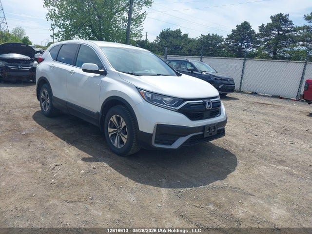 2020 Honda Cr-v Lx მანქანა იყიდება აუქციონზე, vin: 2HKRW2H22LH234316, აუქციონის ნომერი: 12616613