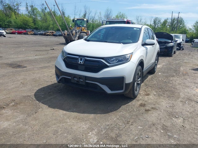 2020 Honda Cr-v Lx მანქანა იყიდება აუქციონზე, vin: 2HKRW2H22LH234316, აუქციონის ნომერი: 12616613