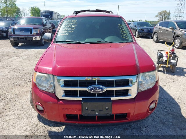 Продаж на аукціоні авто 2011 Ford Escape, vin: 1FMCU0DGXBKB56302, номер лоту: 12616621