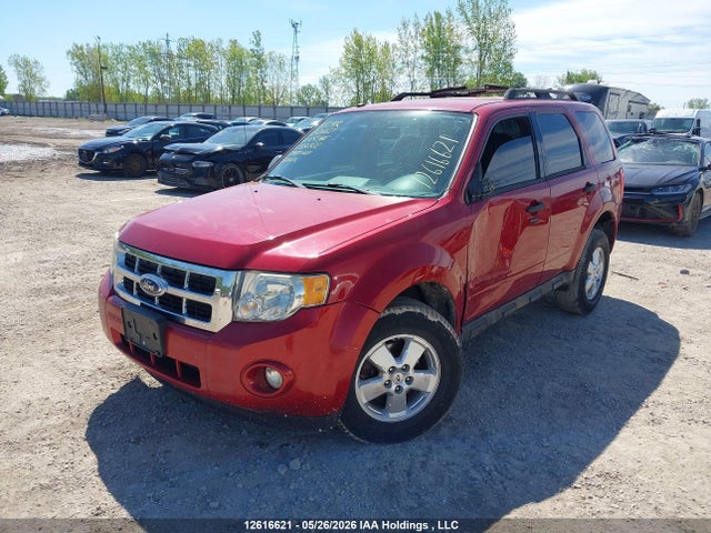 Продаж на аукціоні авто 2011 Ford Escape, vin: 1FMCU0DGXBKB56302, номер лоту: 12616621