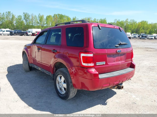 Продаж на аукціоні авто 2011 Ford Escape, vin: 1FMCU0DGXBKB56302, номер лоту: 12616621
