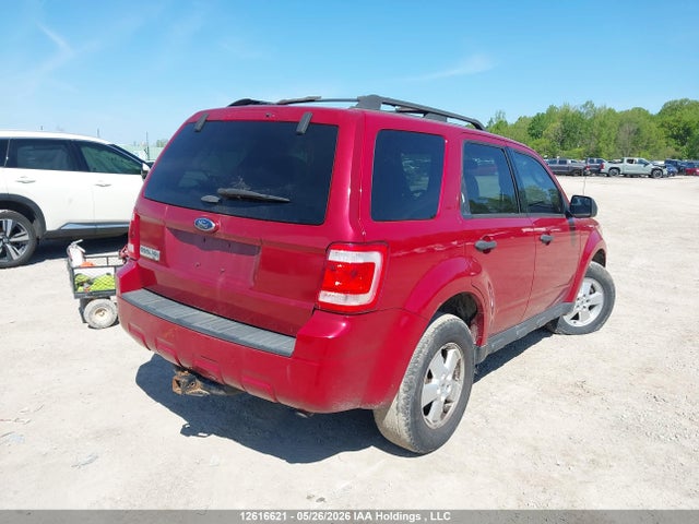 Продаж на аукціоні авто 2011 Ford Escape, vin: 1FMCU0DGXBKB56302, номер лоту: 12616621