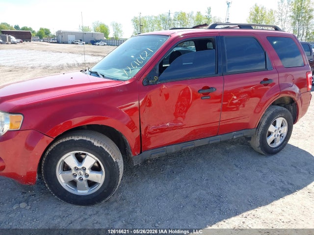 Продаж на аукціоні авто 2011 Ford Escape, vin: 1FMCU0DGXBKB56302, номер лоту: 12616621