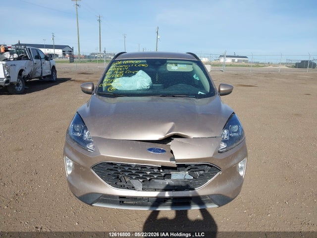 12616800 :رقم المزاد ، 1FMCU9H60LUA88104 vin ، 2020 Ford Escape Sel مزاد بيع