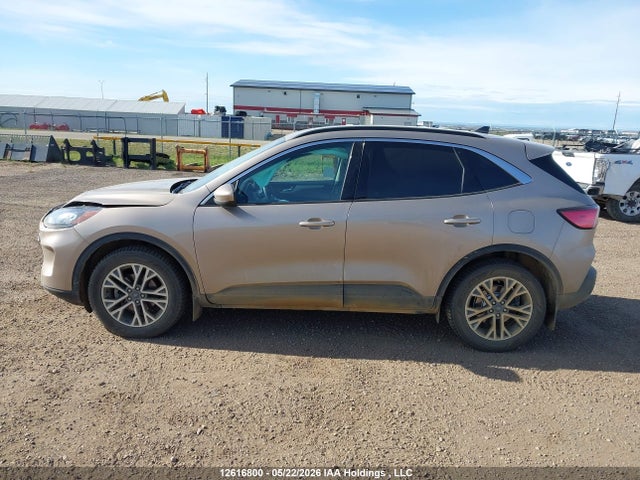 12616800 :رقم المزاد ، 1FMCU9H60LUA88104 vin ، 2020 Ford Escape Sel مزاد بيع