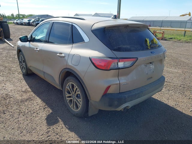 12616800 :رقم المزاد ، 1FMCU9H60LUA88104 vin ، 2020 Ford Escape Sel مزاد بيع
