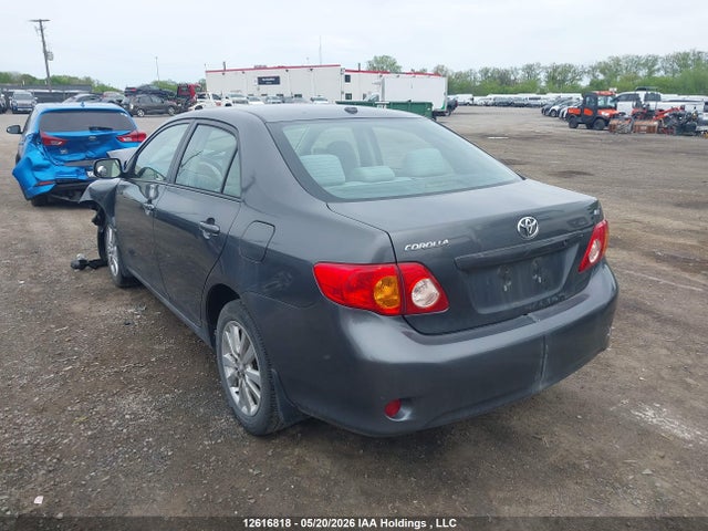 2010 Toyota Corolla S/le/xle მანქანა იყიდება აუქციონზე, vin: 2T1BU4EE6AC215303, აუქციონის ნომერი: 12616818