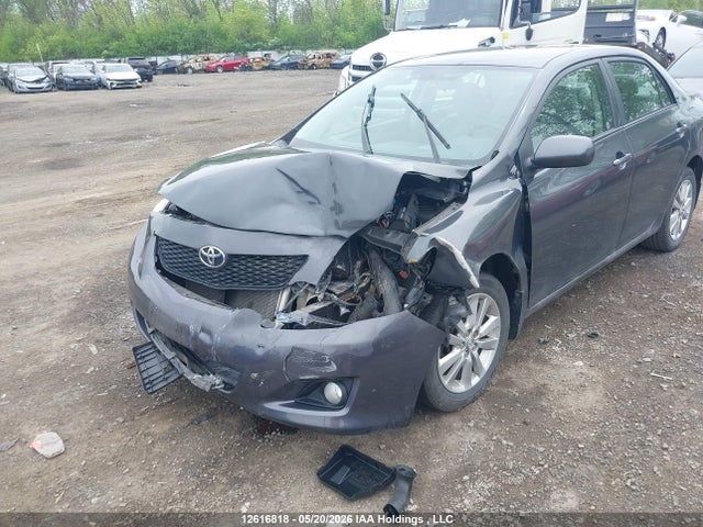 2010 Toyota Corolla S/le/xle მანქანა იყიდება აუქციონზე, vin: 2T1BU4EE6AC215303, აუქციონის ნომერი: 12616818